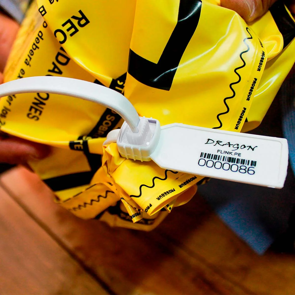 Dragon seal 16" - Imagen 8